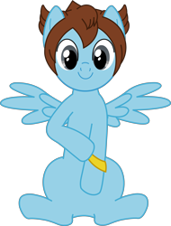 Size: 5171x6804 | Tagged: safe, artist:tokuberry, pony, absurd resolution, football, inazuma eleven, inazuma eleven go, matsukaze tenma, ponified, simple background, solo, spread wings, transparent background, vector, wings