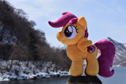 Size: 6000x4000 | Tagged: safe, artist:hystericalcub, scootaloo, pony, absurd resolution, irl, photo, plushie, solo