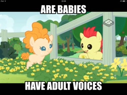 Size: 1494x1117 | Tagged: safe, edit, edited screencap, screencap, bright mac, pear butter, earth pony, pony, the perfect pear, babies, baby, baby ponies, baby pony, brightbutter, caption, cuckolding in the description, female, foal, grammar error, male, shipping, straight