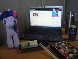 Size: 640x480 | Tagged: safe, artist:poisonhorsie, twilight sparkle, 4de, alcohol, beer, bottle, computer, fimfiction, firefox, food, irl, japanese, photo, plushie, sushi, waifu dinner, windows, windows 7