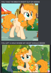 Size: 416x588 | Tagged: safe, edit, edited screencap, screencap, cinnamon pear, pear butter, pony, the perfect pear, breaking benjamin, breath, cute, meme, song reference