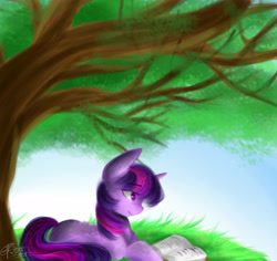 Size: 1250x1180 | Tagged: safe, artist:pinkymynery2212, twilight sparkle, book, reading, relaxing, signature, solo, tree