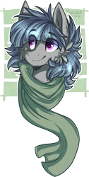 Size: 723x1436 | Tagged: safe, artist:tenebristayga, oc, oc only, pony, bust, clothes, male, portrait, scarf, simple background, solo, stallion, transparent background