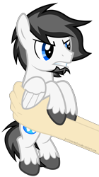 Size: 4480x8000 | Tagged: safe, artist:justisanimation, oc, oc only, oc:marshmallow fluffbutt, human, pegasus, pony, absurd resolution, angry, grumpy, holding a pony, justis holds a pony, male, simple background, stallion, transparent background