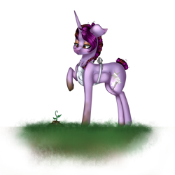 Size: 1024x1024 | Tagged: safe, artist:xxmissteaxx, oc, oc only, pony, unicorn, apron, clothes, female, floppy ears, looking down, mare, plant, raised hoof, solo