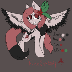 Size: 2000x2000 | Tagged: safe, artist:brokensilence, oc, oc only, oc:rose serenity, pegasus, pony, chest fluff, female, gardenhorse, reference sheet, solo