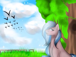 Size: 1024x768 | Tagged: safe, artist:yomi brasi, oc, oc only, earth pony, pony, blackbirds, sitting, solo