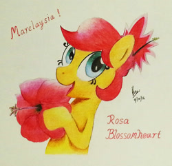 Size: 2249x2169 | Tagged: safe, artist:brianchoobrony-artie, oc, oc only, oc:rosa blossomheart, earth pony, pony, female, flower, happy, hibiscus, malaysia, mare, pun, smiling, solo, traditional art