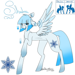 Size: 1000x1000 | Tagged: safe, artist:ohflaming-rainbow, oc, oc only, oc:shawna, pegasus, pony, female, mare, reference sheet, solo