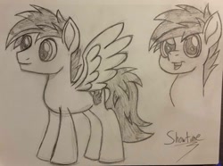 Size: 2048x1526 | Tagged: safe, artist:captshowtime, oc, oc only, oc:kami, pegasus, pony, black and white, bust, colt, grayscale, male, monochrome, movie accurate, pencil, pencil drawing, portrait, request, sketch, solo, stallion, style, traditional art