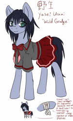 Size: 768x1280 | Tagged: safe, artist:whiteliar, oc, oc only, oc:yasei urami, bandage, reference sheet, sailor uniform