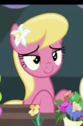 Size: 312x473 | Tagged: safe, screencap, lily, lily valley, it isn't the mane thing about you, smiling