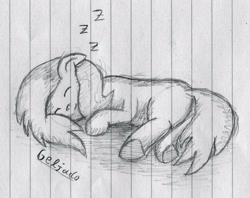 Size: 2633x2089 | Tagged: safe, artist:geljado, oc, oc only, earth pony, pony, blank flank, floppy ears, lined paper, monochrome, oc needed, simple background, sketch, sleeping, solo, traditional art, underhoof, z, zzz