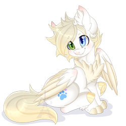 Size: 1024x1024 | Tagged: safe, artist:pvrii, oc, oc only, oc:axel, cat pony, original species, chest fluff, heterochromia, male, simple background, sitting, solo, stallion, transparent background