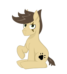 Size: 1000x1100 | Tagged: safe, artist:dyonys, oc, oc only, oc:night chaser, earth pony, pony, 2018 community collab, derpibooru community collaboration, male, scar, simple background, sitting, stallion, transparent background