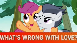 Size: 1920x1080 | Tagged: safe, edit, screencap, rumble, scootaloo, pegasus, pony, marks and recreation, colt, male, meme, pardon the interruption, pti, shipping fuel, smoosh, squishy cheeks, tony kornheiser, tree, why.jpg