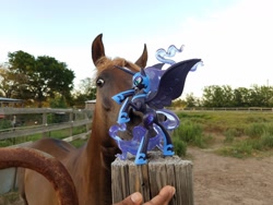 Size: 1600x1200 | Tagged: safe, photographer:we are borg, nightmare moon, horse, human, fan series, guardians of harmony, horse-pony interaction, irl, irl horse, misadventures of the guardians, photo, toy