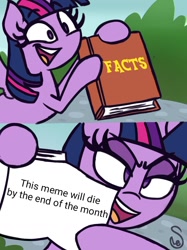 Size: 760x1015 | Tagged: safe, artist:quarium edits, edit, editor:moonatik, twilight sparkle, twilight sparkle (alicorn), alicorn, 2 panel comic, comic, ed edd n eddy, exploitable, exploitable meme, it didn't happen, jossed, meme, solo, twilight's fact book