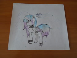 Size: 4608x3456 | Tagged: safe, artist:emilyclise, oc, oc only, pony, absurd resolution, solo, traditional art