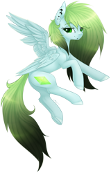 Size: 1025x1601 | Tagged: safe, artist:doekitty, oc, oc only, pegasus, pony, female, mare, simple background, solo, transparent background