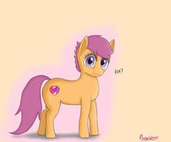 Size: 1800x1500 | Tagged: safe, artist:ponyxwright, scootaloo, earth pony, pony, cutie mark, earth pony scootaloo, looking at you, race swap, solo