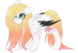 Size: 3000x2048 | Tagged: safe, artist:cinnamontee, oc, oc only, oc:ember, pegasus, pony, colored pupils, colored wings, female, high res, mare, multicolored wings, simple background, solo, transparent background