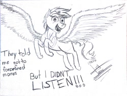 Size: 1024x778 | Tagged: safe, artist:scarlett-letter, oc, oc only, pegasus, pony, commission, exploitable meme, faic, flying, i didn't listen, image macro, majestic, meme, monochrome, solo, spread wings, traditional art, wings