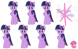 Size: 2925x1840 | Tagged: safe, artist:mlp-projectanarchy, twilight sparkle, twilight sparkle (alicorn), alicorn, pony, emotions