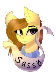 Size: 2991x4000 | Tagged: safe, artist:crazllana, oc, oc only, oc:coffee, pony, banner, bust, female, high res, mare, old banner, portrait, sassy, simple background, solo, transparent background