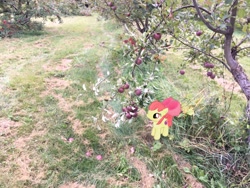 Size: 4032x3024 | Tagged: safe, apple bloom, earth pony, pony, apple, apple tree, augmented reality, female, filly, foal, food, gameloft, irl, photo, ponies in real life, solo, tree