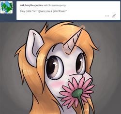 Size: 630x594 | Tagged: safe, artist:hieronymuswhite, oc, oc only, oc:narmo, pony, unicorn, blushing, flower, magic, simple background, solo, telekinesis, tumblr