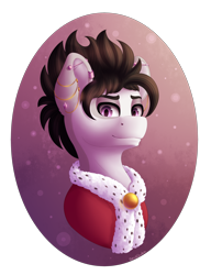Size: 2300x3000 | Tagged: safe, artist:spirit-dude, oc, oc only, pony, bust, clothes, commission, looking at you, male, portrait, simple background, solo, stallion, transparent background