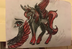 Size: 3264x2216 | Tagged: safe, artist:derpyluna112, oc, oc only, oc:bloodlust, oc:camoflage cat, alicorn, pony, red and black oc, traditional art