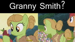 Size: 1920x1080 | Tagged: safe, edit, edited screencap, screencap, earth pony, pony, campfire tales, cropped, female, flower, hair bun, implied granny smith, mare, tail bun, unnamed pony