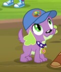 Size: 123x145 | Tagged: safe, screencap, spike, spike the regular dog, dog, equestria girls, legend of everfree, cap, hat, looking up, smiling, solo