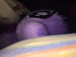 Size: 960x719 | Tagged: safe, artist:silly-filly1337, twilight sparkle, irl, night, photo, plushie, solo, waifu