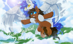 Size: 2512x1519 | Tagged: safe, artist:dolorosacake, oc, oc only, oc:gabriel, earth pony, pegasus, pony, chest fluff, cloud, fangs, female, flying, outdoors, ych result