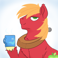 Size: 2000x2000 | Tagged: safe, artist:grim ponka, big macintosh, earth pony, pony, cutie mark, mug, solo, trixie's cutie mark