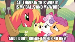 Size: 888x499 | Tagged: safe, edit, edited screencap, screencap, apple bloom, big macintosh, scootaloo, sweetie belle, earth pony, pony, ponyville confidential, caption, cutie mark crusaders, male, scarface, stallion