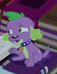 Size: 721x932 | Tagged: safe, screencap, spike, dog, equestria girls, equestria girls (movie), book, sitting, solo, spike the dog