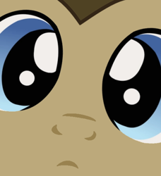 Size: 500x549 | Tagged: safe, artist:grapefruitface1, derpibooru exclusive, part of a set, doctor whooves, close-up, cute, male, stare