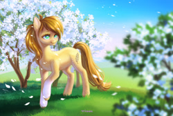Size: 1024x689 | Tagged: safe, artist:purpletigra, oc, oc only, earth pony, pony, apple tree, bloom, chest fluff, female, head turn, looking at something, looking away, looking to side, looking to the right, mare, petals, raised hoof, smiling, solo, unshorn fetlocks