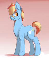 Size: 900x1200 | Tagged: safe, artist:passigcamel, oc, oc only, oc:matt dyllis, earth pony, pony, bandaid, gradient background, magical lesbian spawn, male, offspring, parent:applejack, parent:rainbow dash, parents:appledash, solo, stallion, whistle