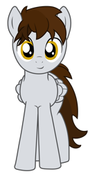 Size: 4400x8437 | Tagged: safe, oc, oc only, oc:streaming arrow, pegasus, pony, 2017 community collab, absurd resolution, derpibooru community collaboration, male, simple background, solo, transparent background