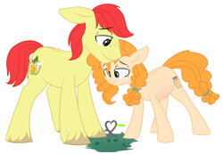 Size: 5421x3752 | Tagged: safe, artist:chub-wub, bright mac, pear butter, earth pony, pony, the perfect pear, brightbutter, cute, dawwww, female, floppy ears, heart, hnnng, male, mare, pregnant, shipping, smiling, stallion, straight, teary eyes