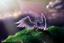 Size: 1095x730 | Tagged: safe, artist:crazyaniknowit, twilight sparkle, twilight sparkle (alicorn), alicorn, pony, cloud, female, grass, leonine tail, mare, smiling, solo