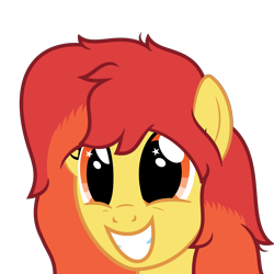 Size: 9375x9375 | Tagged: safe, artist:besttubahorse, oc, oc only, oc:flamespitter, absurd resolution, bust, cute, female, happy, simple background, smiling, solo, transparent background, vector, wingding eyes