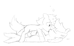 Size: 2498x1561 | Tagged: safe, artist:pzkratzer, oc, oc only, sea pony, belly button, kissing, monochrome, shipping, sketch, underwater