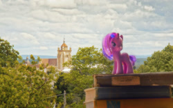 Size: 1920x1200 | Tagged: safe, artist:darkdoomer, twilight sparkle, book, cathedral, church, city, city:dole, dole, france, irl, photo, photography, ponies around the world, toy, tree