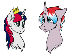 Size: 2048x1567 | Tagged: safe, artist:xanderserb, oc, pony, liechtenstein, luxembourg, nation ponies, ponified, solo